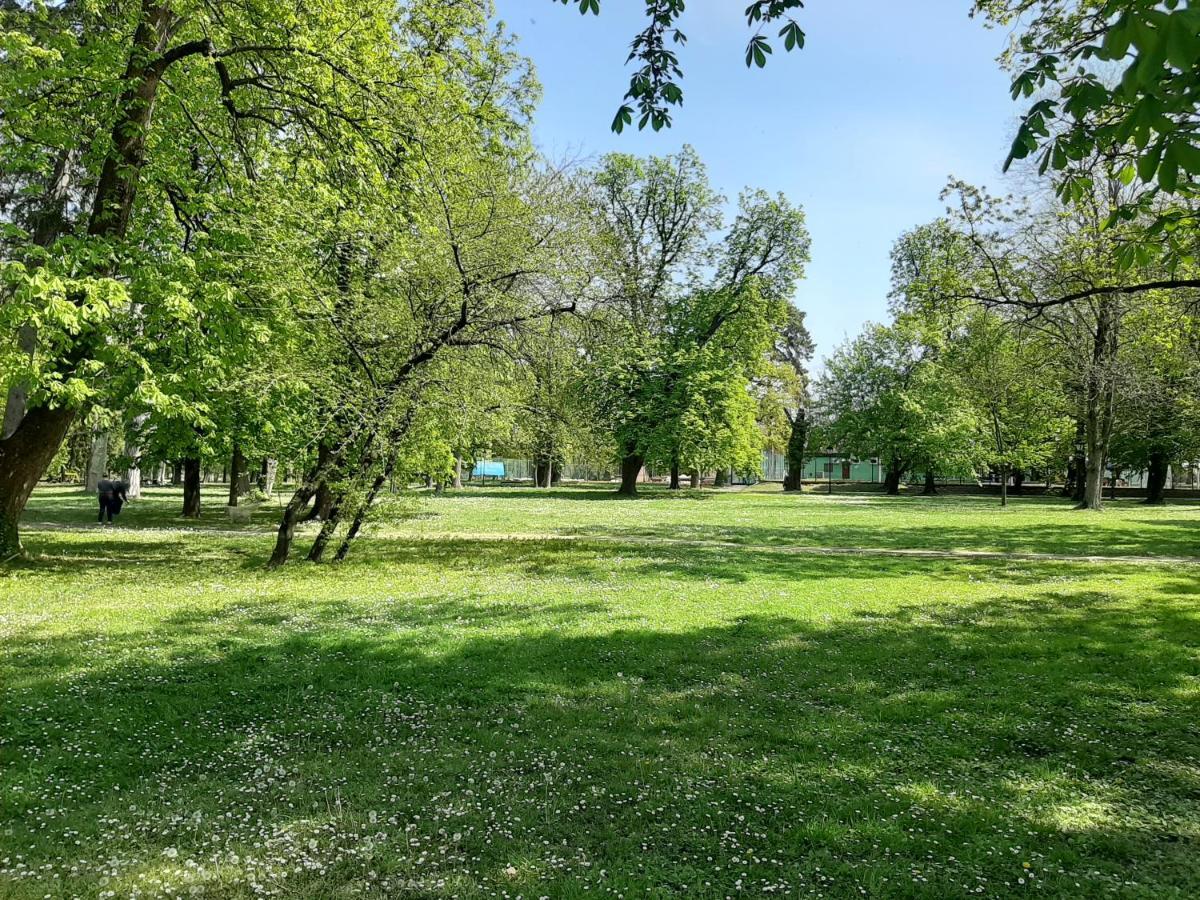 Apartman Kod Kestena Osijek Exteriör bild